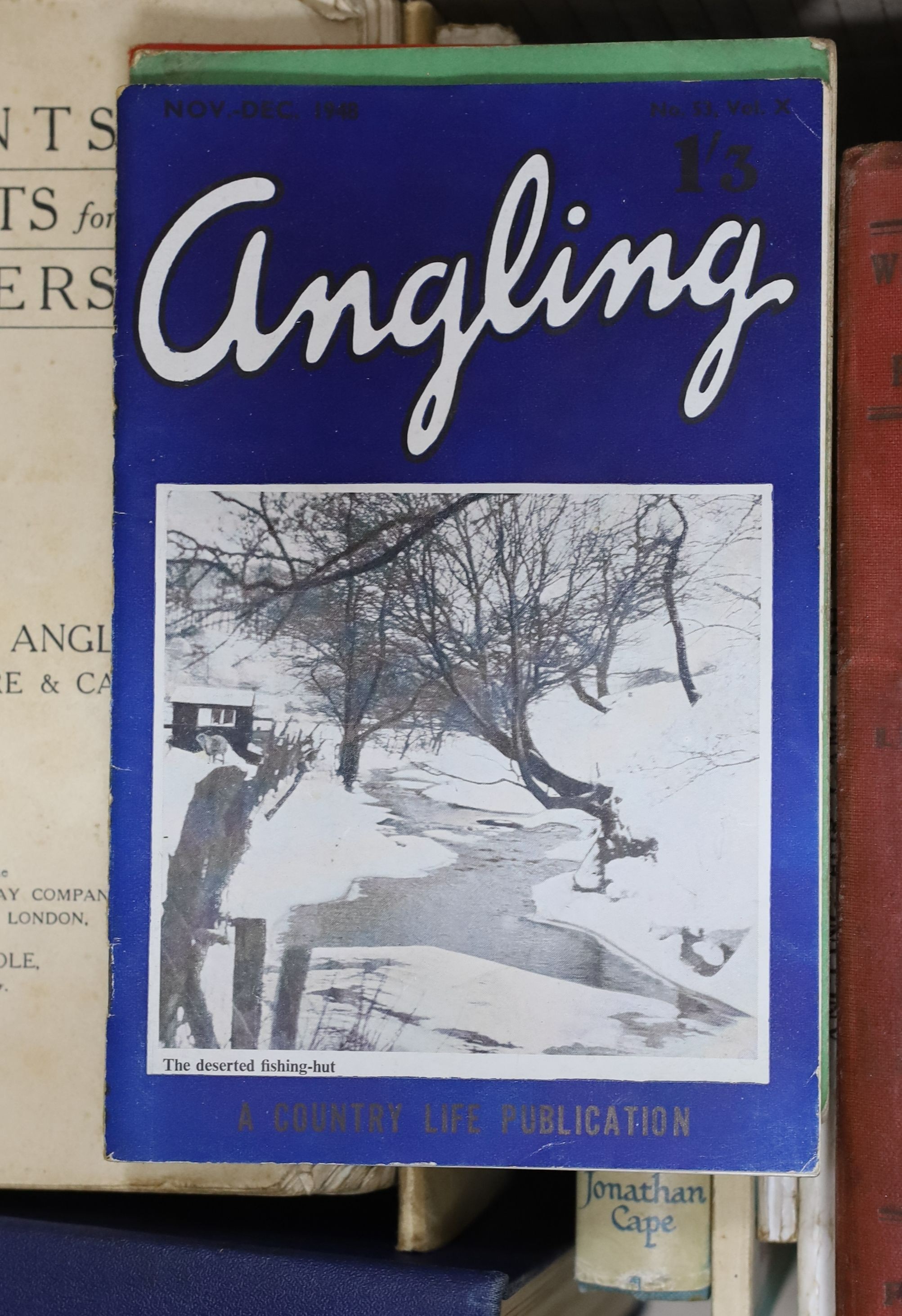 Collection of books on fishing, fish and other country pursuits